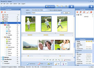 PicaJet Photo Organizer screenshot